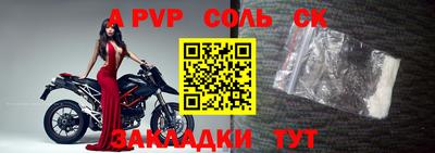 соль ск Бердск