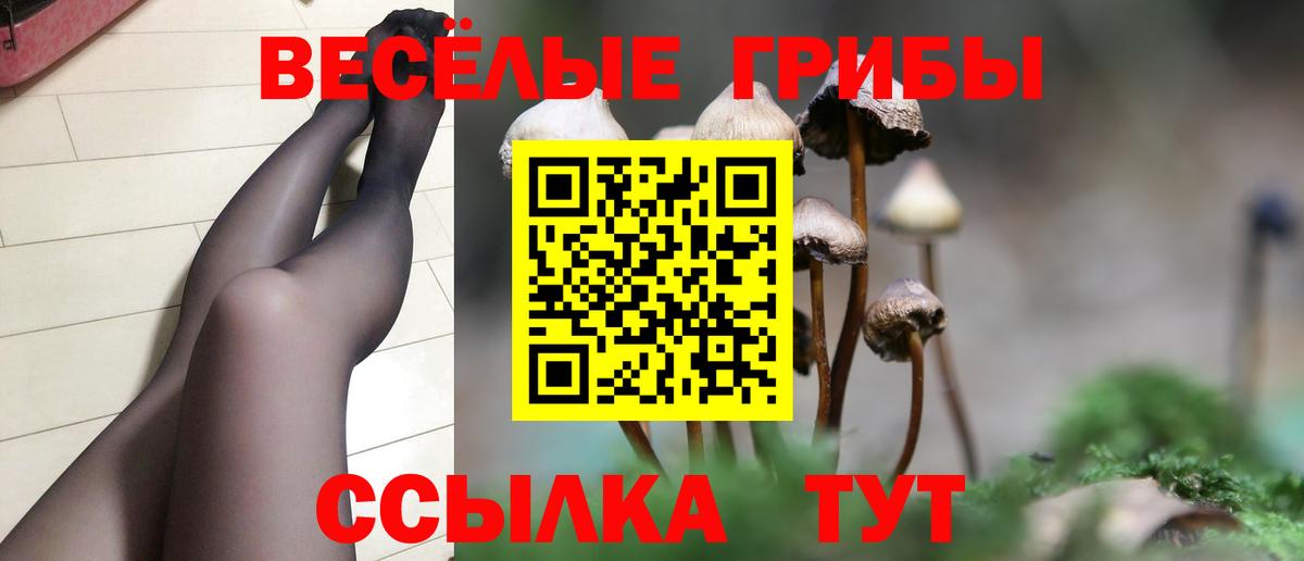 Грозный  Псилоцибиновые грибы мухоморы  Вход с VPN 