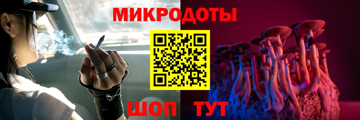 Псилоцибиновые грибы Psilocybine cubensis Грозный